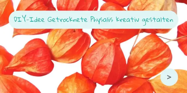 DIY-Idee Getrocknete Physalis kreativ gestalten
