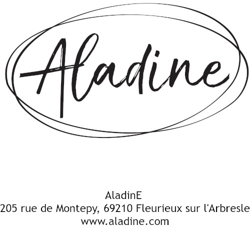 AladinE