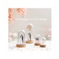 Preview: Rico Design Beispie Holzdeko Set