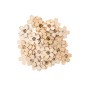 Preview: Holzstreu Kirschblüte natur 48 Stück Rico Design