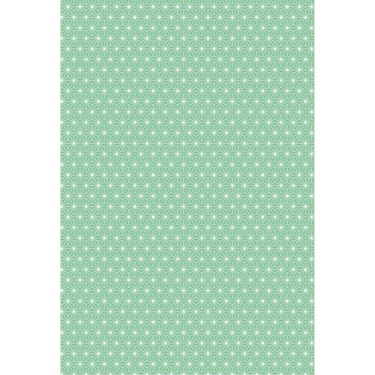 Motivkarton Starlight mint A4