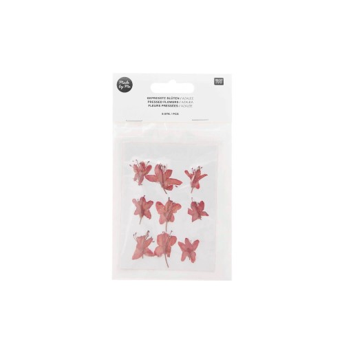 Gepresste Blüten Azalee von Rico Design