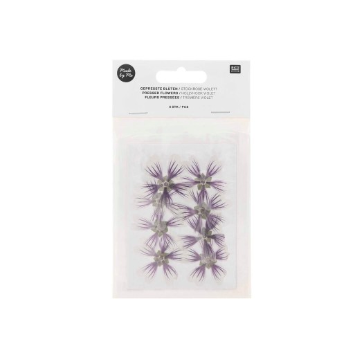 Blüten gepresst lila Stockrose zum Teil eingefärbt