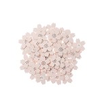 Holzstreuteile Kirschblüte puder von Rico Design