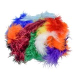 Federn Marabu bunt